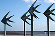 FNQ