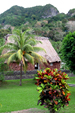 FIJI
