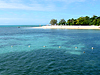 FNQ