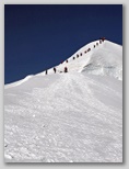 bishorn