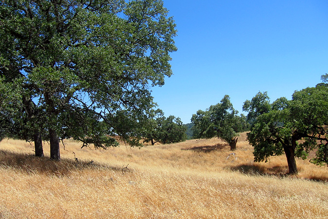 hike