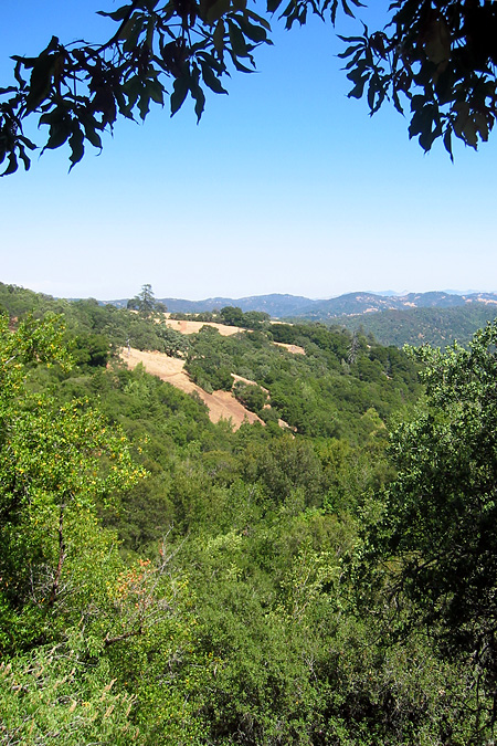 hike