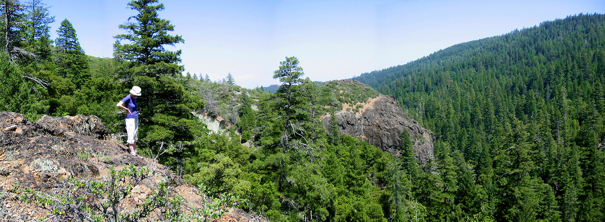 Hiking