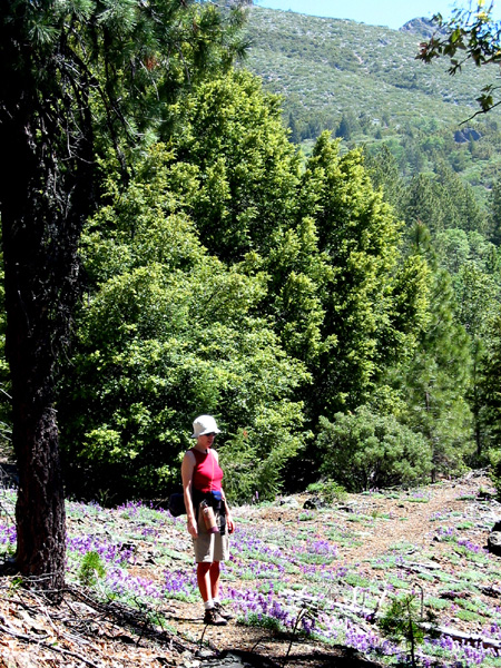 Hiking